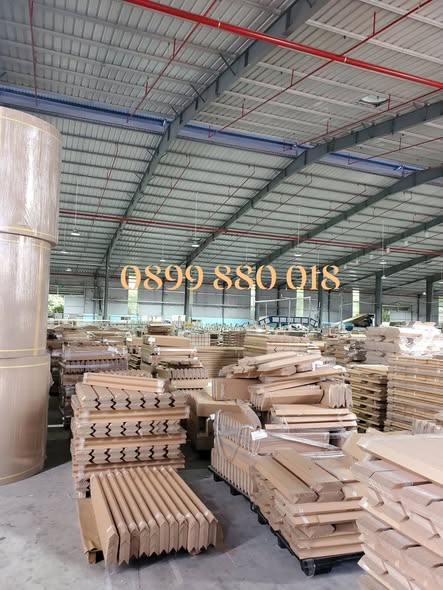 THANH V GIẢI PHÁP BAO BÌ CHO XUẤT KHẨU TRÁI CÂY